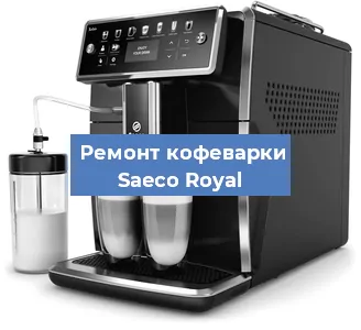 Чистка кофемашины Saeco Royal от накипи в Воронеже